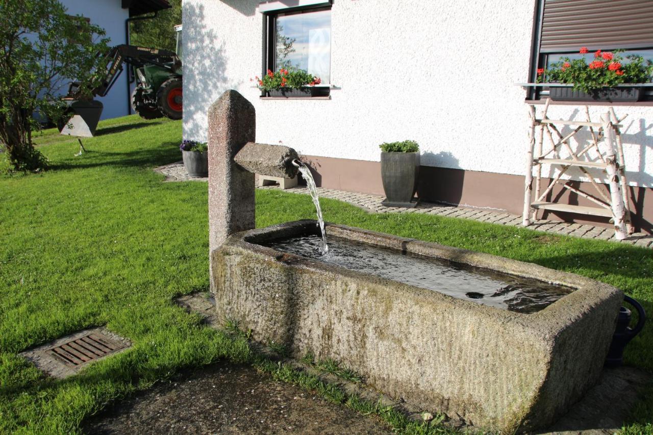 Apartman Mitterdorf Almberg 7 Mitterfirmiansreut Exterior foto